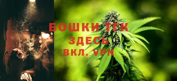 прущие грибы Арсеньев