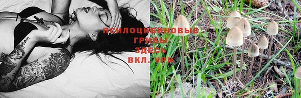 гашик Армянск
