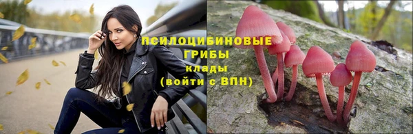 гашик Армянск